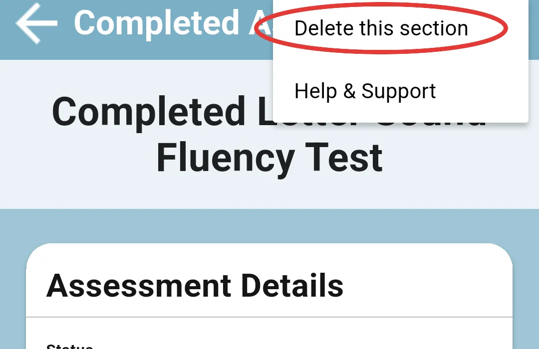 Three-dot menu open with Delete this section highlighted, above Help & Support